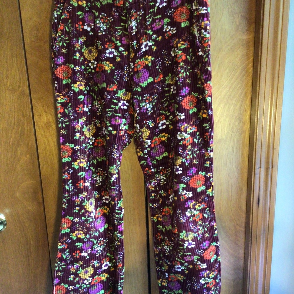 Urban Outfitters Vintage Floral Velvet Crop or Ankle Length Pants size 2